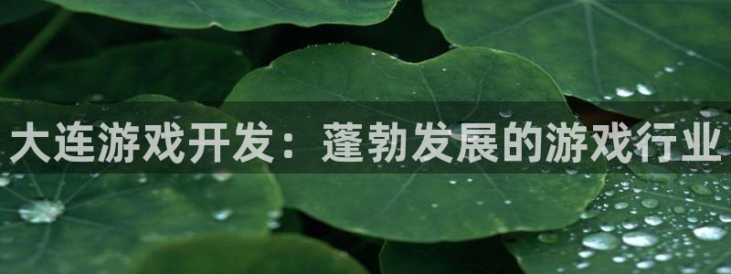 沐鸣娱乐2如何找回密码