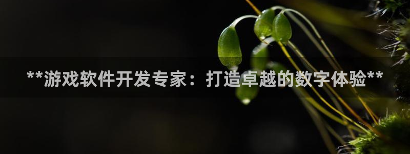 沐鸣娱乐2登陆不上怎么办