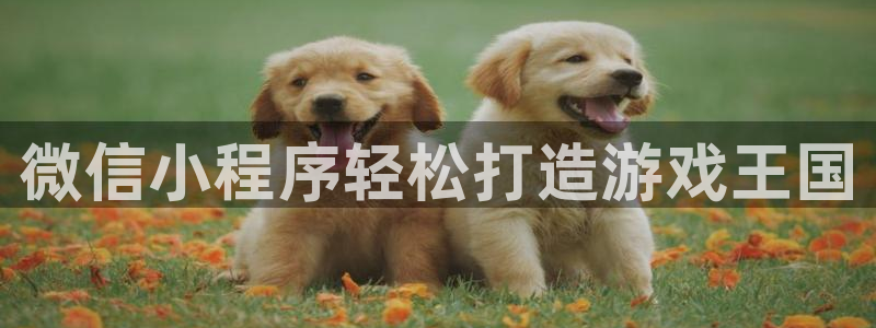 沐鸣2票35994度