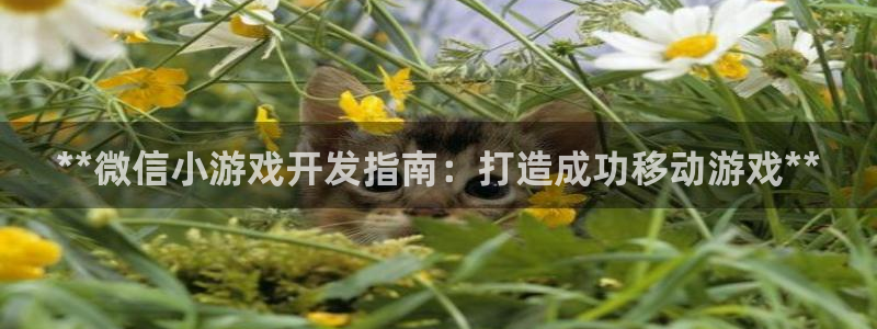 沐鸣娱乐2的分分彩