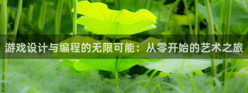沐鸣2联盟：游戏设计与编程的无限可能：从零开始的艺术之旅