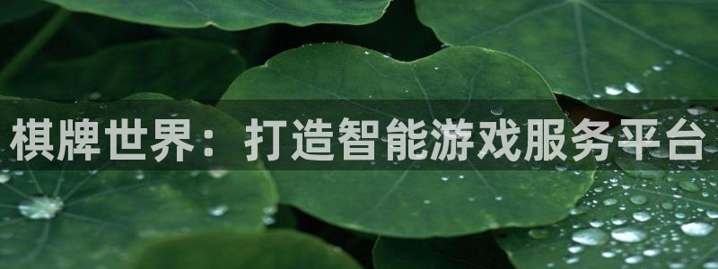 沐鸣娱乐2登陆不上怎么办：棋牌世界：打造智能游戏服务平台