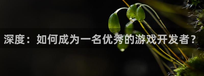 沐鸣娱乐2l怎么样：深度：如何成为一名优秀的游戏开发者？