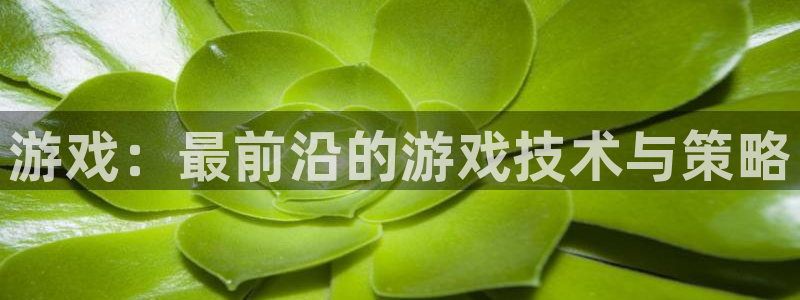 沐鸣娱乐2登录平台官网入口：游戏：最前沿的游戏技术与策略