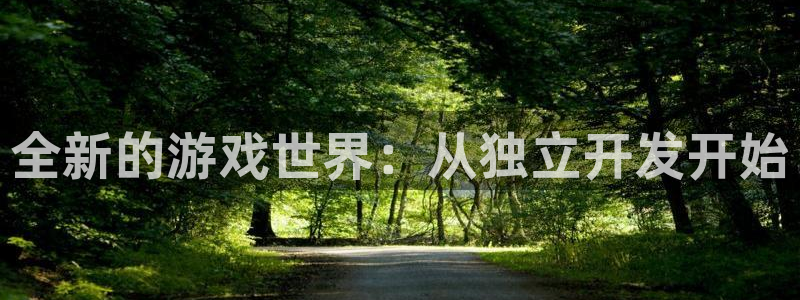 沐鸣娱乐2多彩平台：全新的游戏世界：从独立开发开始