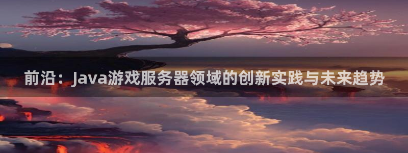 沐鸣娱乐平台2注册：前沿：Java游戏服务器领域的创新实践与未来趋势