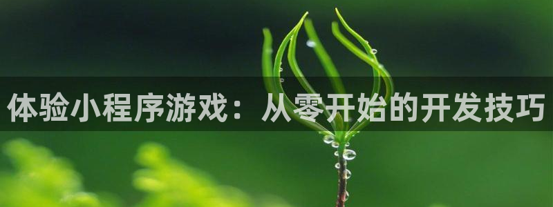 沐鸣2注册说来77542：体验小程序游戏：从零开始的开发技巧