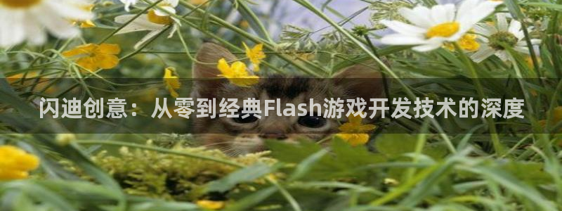 沐鸣2官网注册地址：闪迪创意：从零到经典Flash游戏开发技术的深度