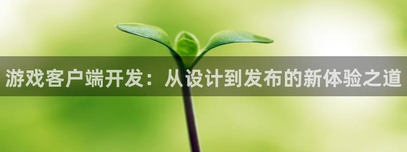 沐鸣娱乐2电脑版：游戏客户端开发：从设计到发布的新体验之道