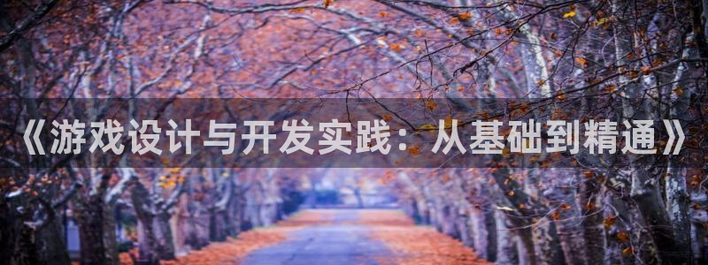 沐鸣2登录测试：《游戏设计与开发实践：从基础到精通》