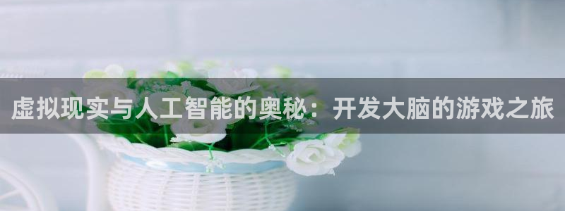 沐鸣娱乐2不能注册：虚拟现实与人工智能的奥秘：开发大脑的游戏之旅