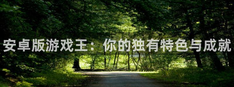 沐鸣2平台代理注册：安卓版游戏王：你的独有特色与成就