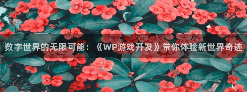 沐鸣娱乐2客服