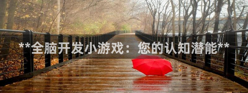 沐鸣2平台代理：**全脑开发小游戏：您的认知潜能**