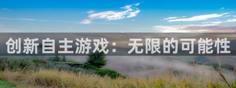 沐鸣2平台主管：创新自主游戏：无限的可能性