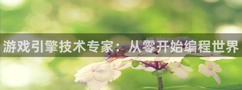 沐鸣2测速登陆：游戏引擎技术专家：从零开始编程世界